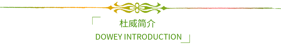 杜威简介
